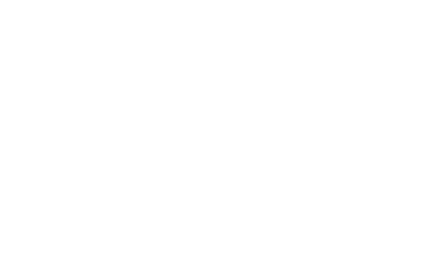 Mahle Motorsport Logo